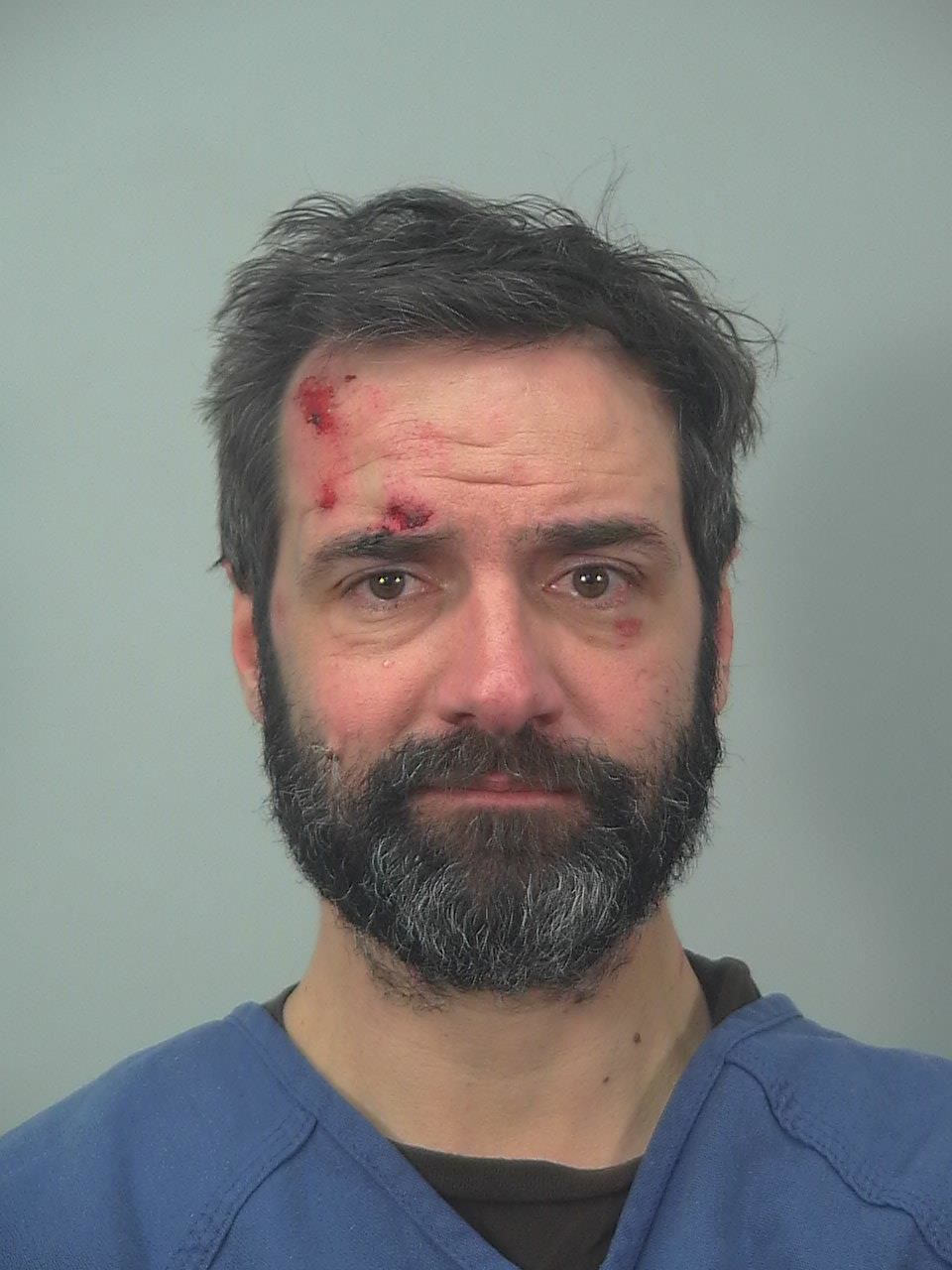 Drunken intruder bitten by police dog, arrested, Madison police say